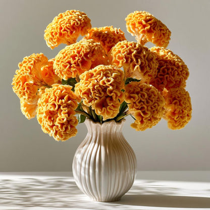 200pcs Straightforward Growing Celosia Seeds ideal for lining garden paths, walkways and quiet patio borders