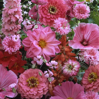 989Pcs Mix Wildflower Seeds Perfect for beginner planting to create dynamic layered scenery and add natural textured charm to yard landscapes