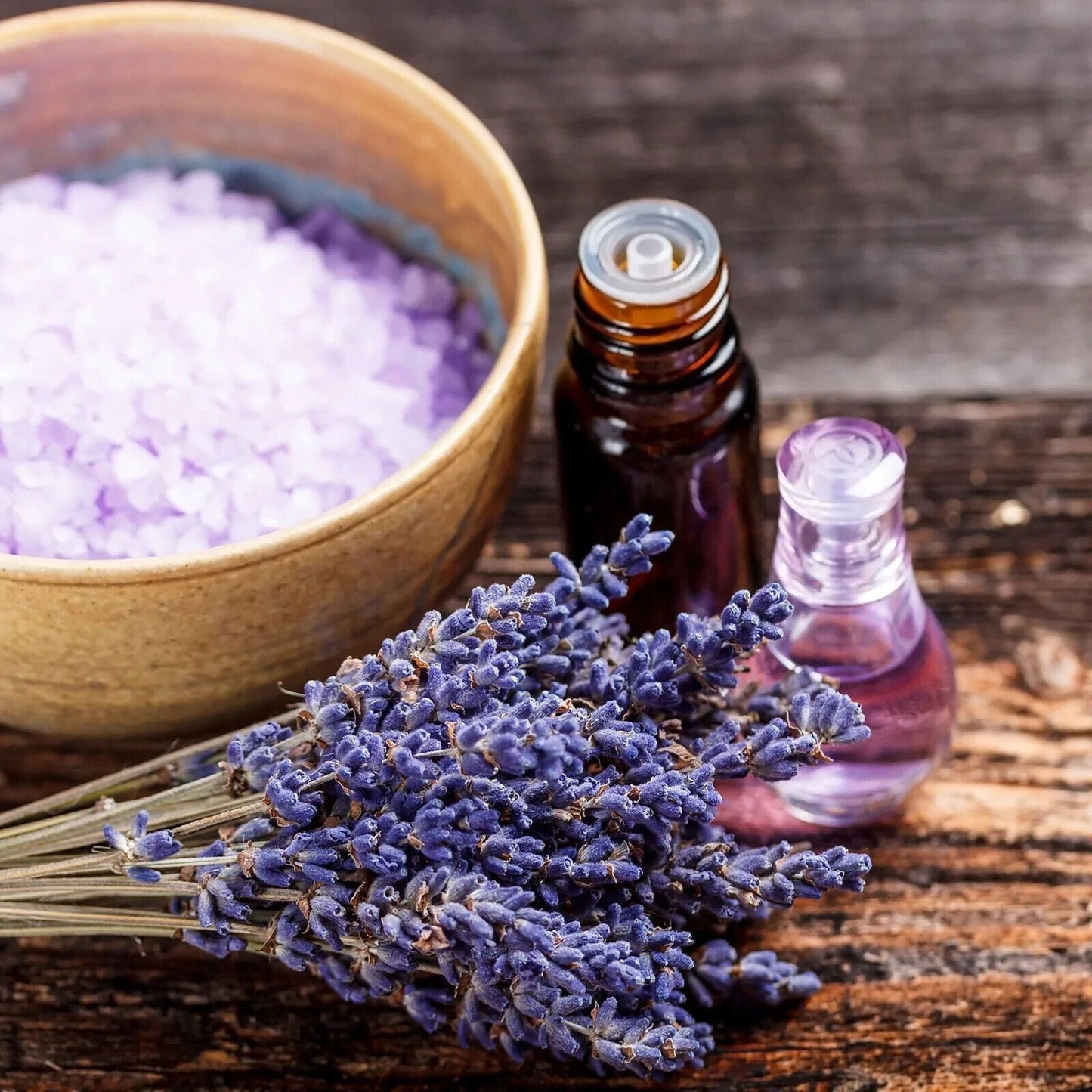 900Pcs Lavender Seeds Continuous Blooming Easy Maintenance For Outdoor Scenic Grow