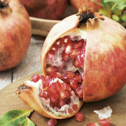149Pcs Pomegranate Seeds perfect for courtyard focal design and small area landscape styling