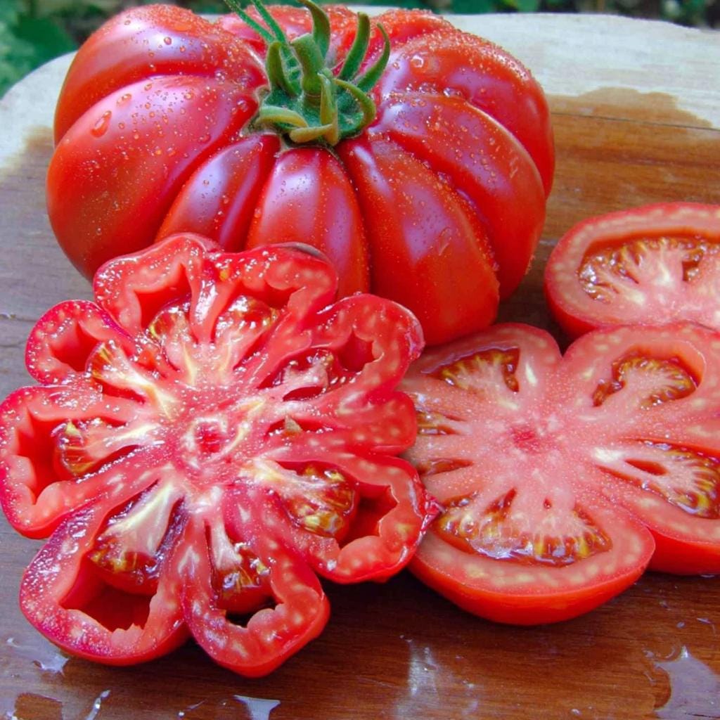 185Pcs Tomato Seeds Ideal For Busy Homeowners And Casual Hobby Gardeners