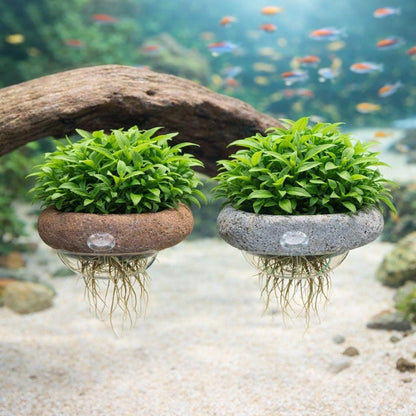 1800Pcs Aquarium Seeds Beginner Friendly for planting in fish tank environments, aquatic landscape containers and indoor water scene layout spaces