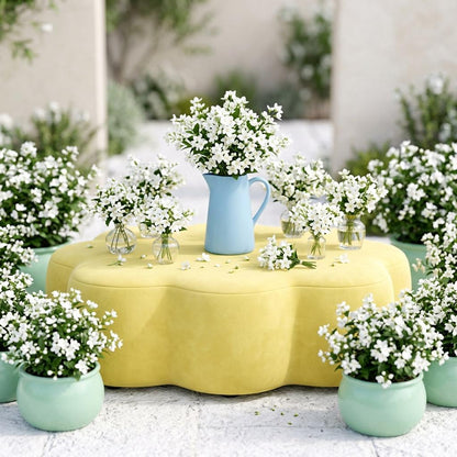 50pcs White Jasmine Seeds Blooms  Heirloom Fragrant Shrub