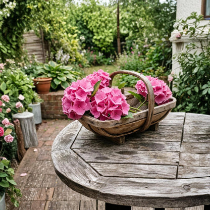 Pink Hydrangea 50pcs, Hydrangea Flower Seeds, Ornamental Garden Plant