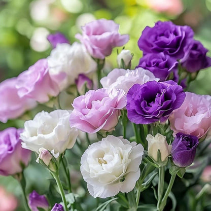 80Pcs Lisianthus Seeds Flower Garden Planting Outdoor Flowers