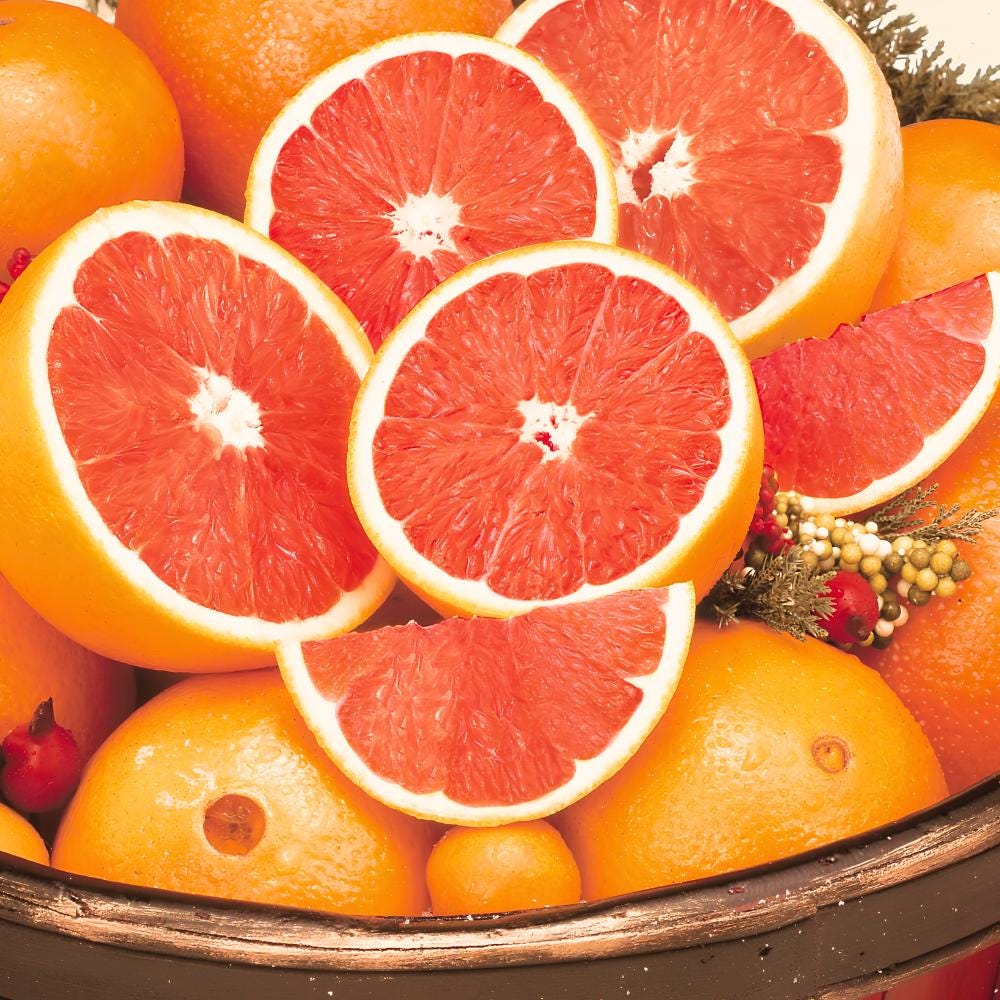 50pcs Orange Tree Seeds Easy To Grow For Home Garden Planting Ornamental Garden Tree