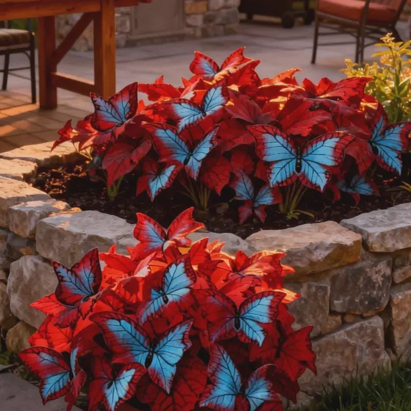 200Pcs Butterfly Begonia Hosta Seeds for Shaded Gardens, Borders, Walkways & Under Trees, Easy to Grow