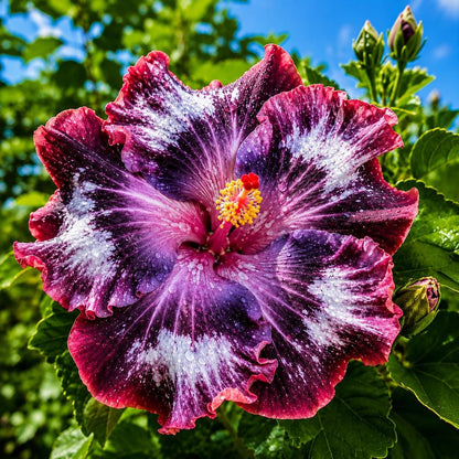 100pcs Silver Pink Purple Hibiscus Flowers Perennial Bloom Sun Patio Container Butterfly Seeds