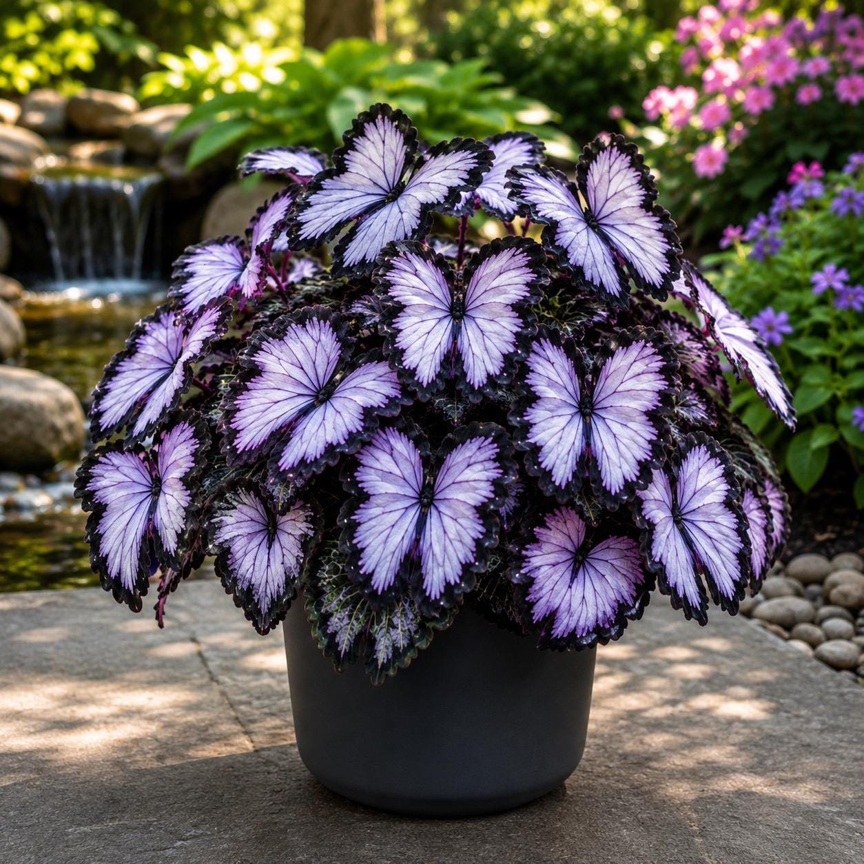 200pcs Moonlight Butterfly Seeds, Ornamental Perennial Flower, Exotic Garden Blooms