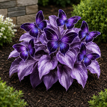 98Pcs Hosta Seeds for Planting | Perennial Shade Garden Ornamental Foliage Plants