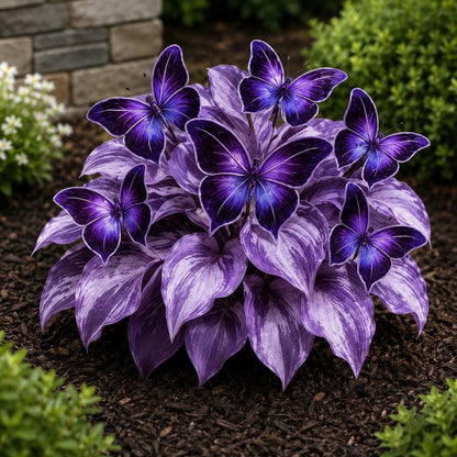 98Pcs Hosta Seeds for Planting | Perennial Shade Garden Ornamental Foliage Plants