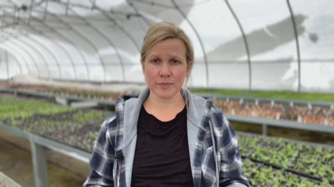 Step-by-Step: How to Start Flower Seeds Indoors for a Beautiful Garden