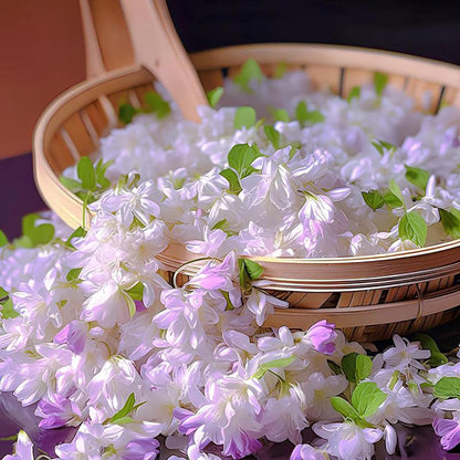 50pcs Mix Climbing Double Jasmine Seeds for Planting,  Perennial Fragrant Climb