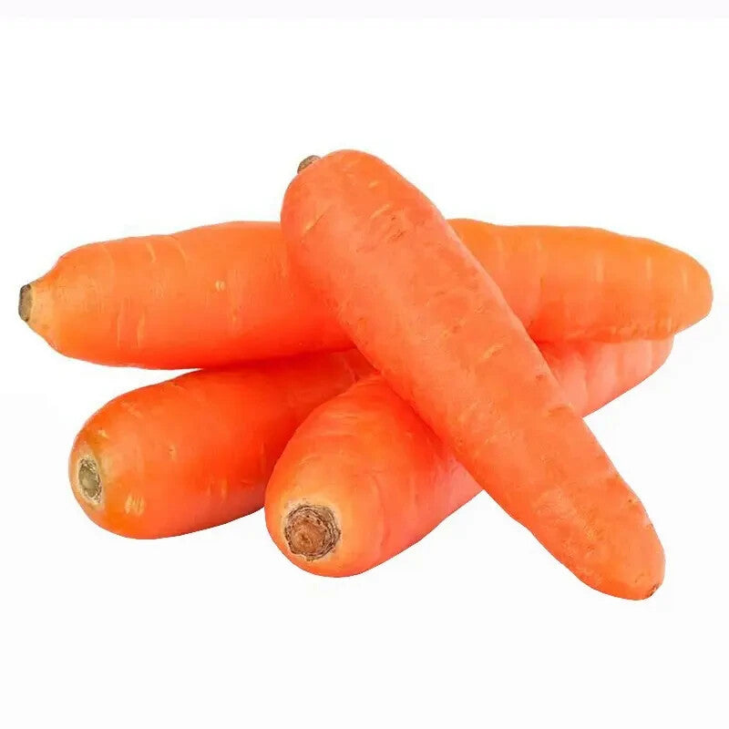 200 Danvers Half Long Carrots Seeds NON-GMO Heirloom | Fresh Vegetable Seed