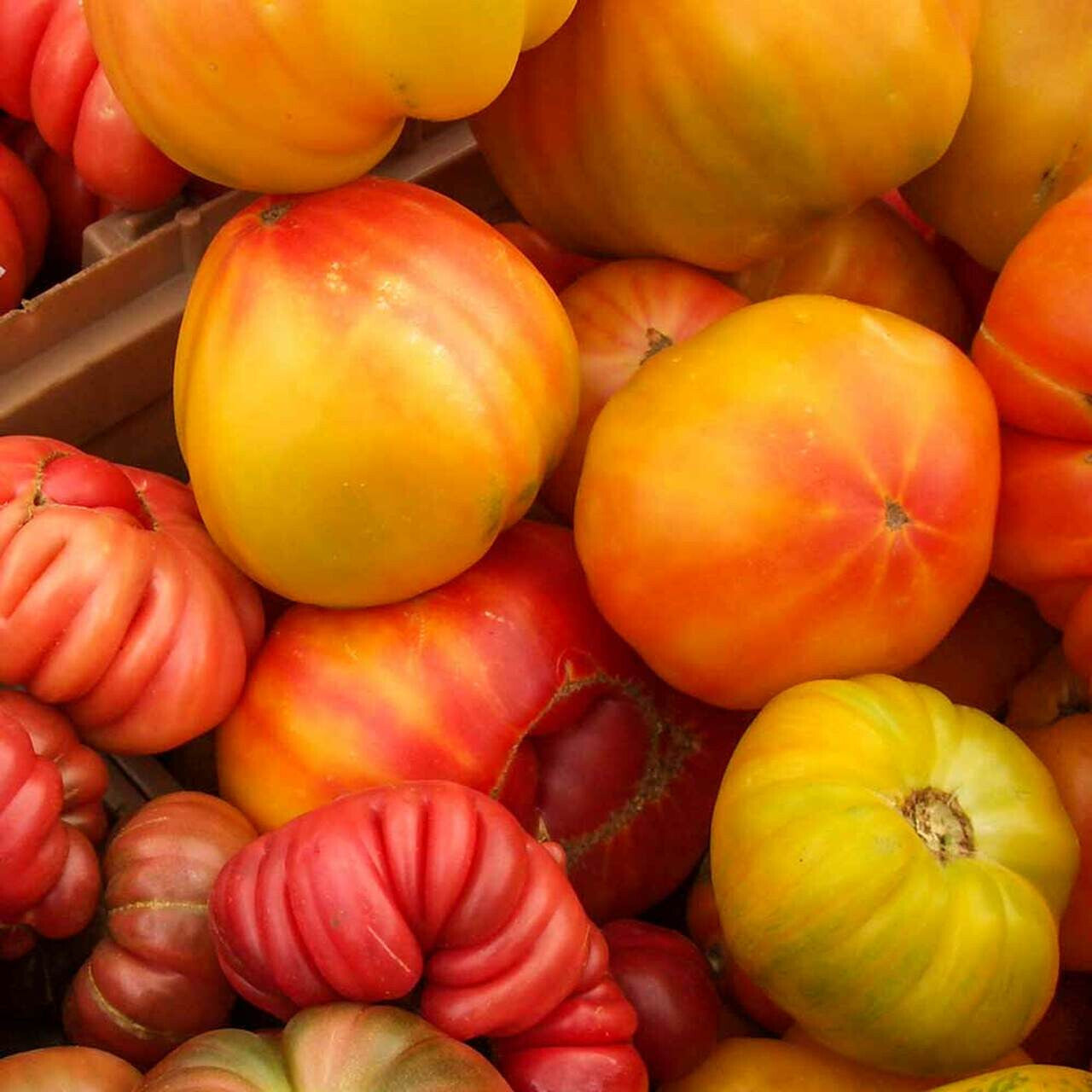 200pcs Planting Seeds Tomato Seeds Vigorous Growth Easy To Grow For Outdoor Yards