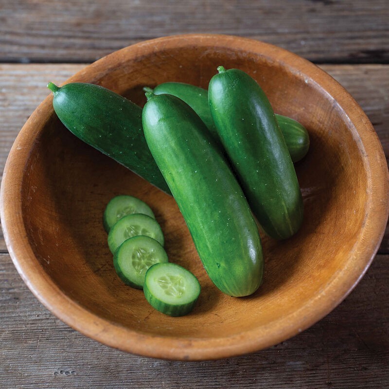 50pcs Cucumber Seeds Easy To Grow For Climbing Vine Growth In Home Vegetable Garden Spaces All Season Long